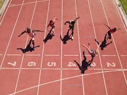 [网球]联合杯开赛在即 中国队动物园巧遇加拿大队