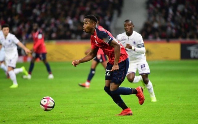 德约科维奇 德约科维奇